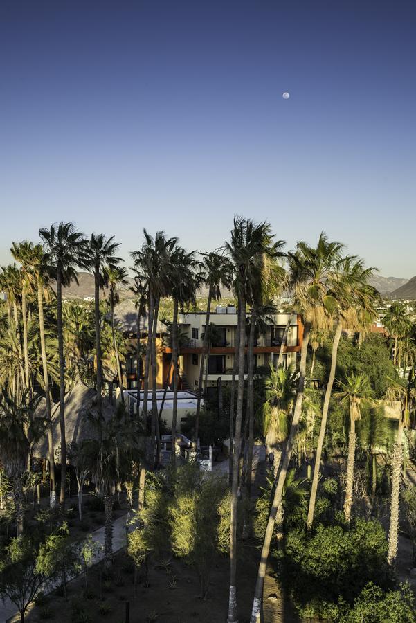 Marea La Paz Hotel Exterior photo